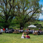 Father's Day Picnic at Seville Hill Winery